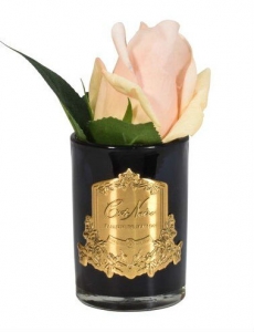 Ароматизированная роза Cote Noir ROSE BUD white peach