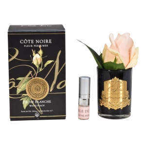 Ароматизированная роза Cote Noir ROSE BUD white peach