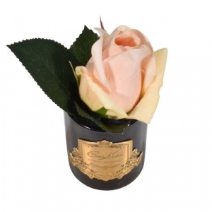 Ароматизированная роза Cote Noir ROSE BUD white peach