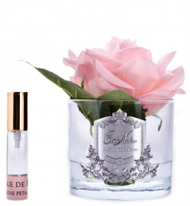 Ароматизированная роза Cote Noir FRENCH ROSE  Cherry Blossom Pink