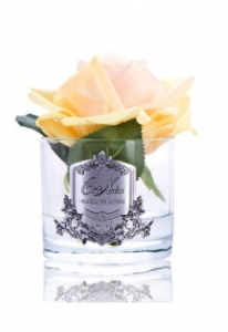 Ароматизированная роза Cote Noir FRENCH ROSE carmine red