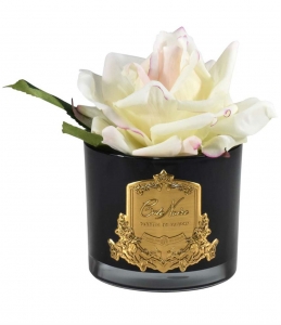 Ароматизированная роза Cote Noir FRENCH ROSE pink blush