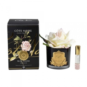 Ароматизированная роза Cote Noir FRENCH ROSE pink blush