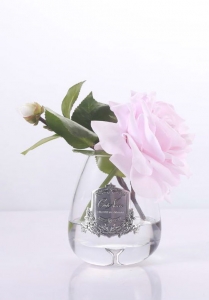 Роза Cote Noir TEA ROSE French pink прозрачная ваза