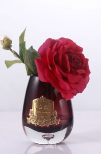 Роза Cote Noir TEA ROSE TEA ROSE carmine red темная ваза