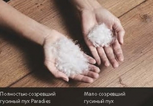 Одеяло пуховое Paradies легкое 150х200 Arabella Light