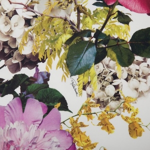 Постельное белье Семейное Roberto Cavalli Floris Bianco