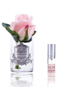 Ароматическая роза Cote Noir Rose bud, цвет розовый