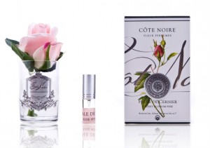 Ароматическая роза Cote Noir Rose bud, цвет розовый