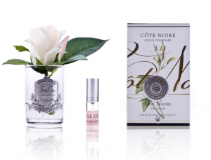 Ароматическая роза Cote Noir Rose bud, цвет светло-розовый