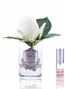 Ароматическая роза Cote Noir Rose bud, цвет слоновая кость