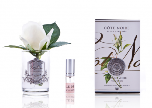 Ароматическая роза Cote Noir Rose bud, цвет слоновая кость