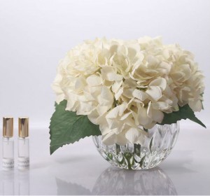Букет Гортензии, шампань HYDRANGEAS CHAMPAGNE от Cote Noir