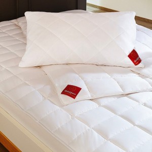 Одеяло из хлопка всесезонное 220х240 Morpheus Cotton от Brinkhaus