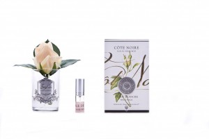 Ароматизированная роза Cote Noir ROSE BUD white peach