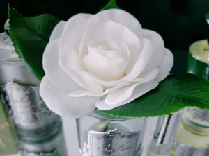 Ароматическая Гардения GARDENIAS от Cote Noir