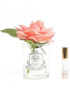 Ароматическая роза FRENCH ROSE white peach от Cote Noir
