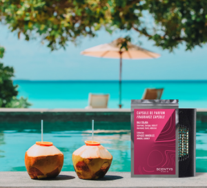 Ароматическая капсула для авто BALI COLADA от Scentys