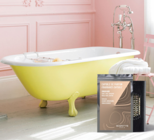 Ароматическая капсула для авто VIRGIN NUDE от Scentys