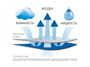 Защитная наволочка 68х68 German Grass Stop