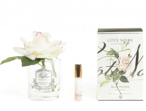 Ароматизированная роза Cote Noir FRENCH ROSE blush