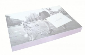 Постельное белье евро 200х220 Mirabello ENGLISH ROSE 03N цветы на сером фоне