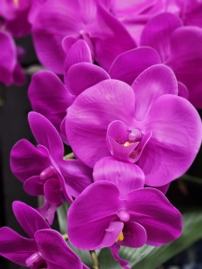 Ароматический букет CENTERPIECE TALL PURPLE ORCHIDS розовые орхидеи от Cote Noir
