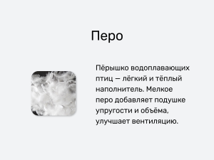 Подушка пуховая трехкамерная с бортиками 50х70 Soft Box от Swiss Dream
