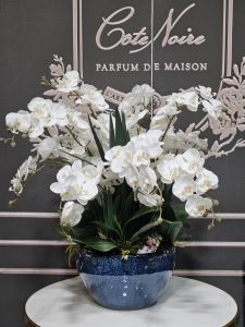  Ароматический букет LUXURY GIANT ORCHID WHITE - Большой букет орхидей от Cote Noire