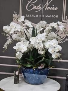  Ароматический букет LUXURY GIANT ORCHID WHITE - Большой букет орхидей от Cote Noire