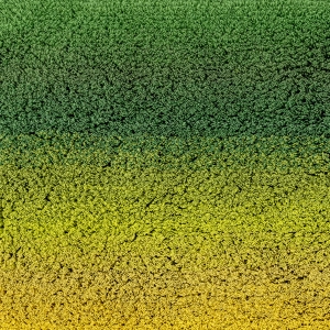 Коврик для ванной AURORE 205 75х100 от Abyss&Habidecor