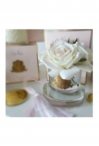 Букет из 5 роз ароматизированный, цвет светло-розовый FIVE ROSE pink blush Gold badge от Cote Noir